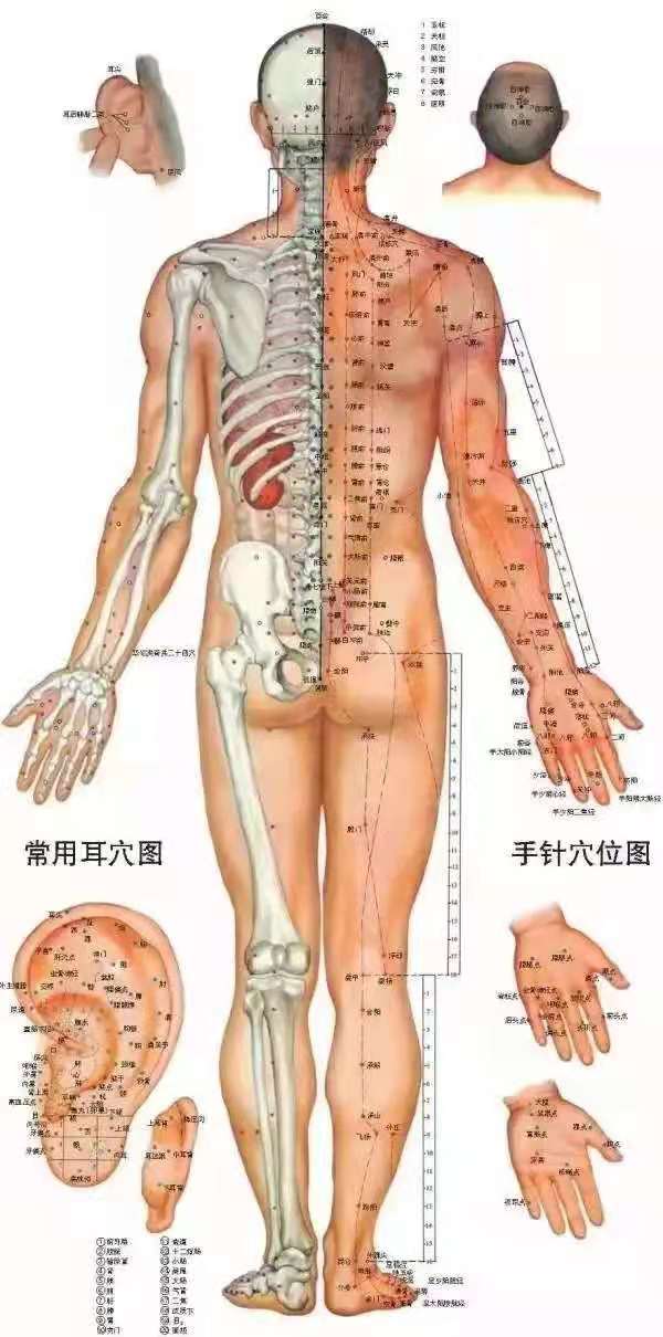 40个常见病穴位按摩大全